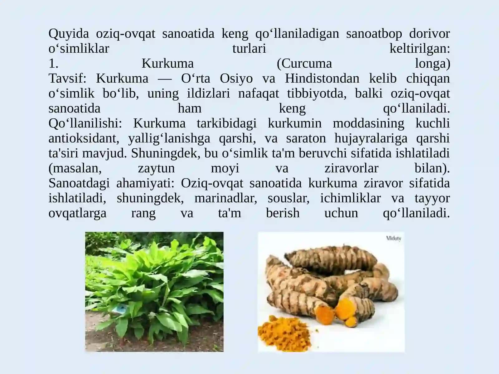 OZIQ-OVQAT SANOATI VA TABOBATDA FOYDALANILADIGAN SANOATBOP VA TEXNIK DORIVOR O‘SIMLIKLARI 4