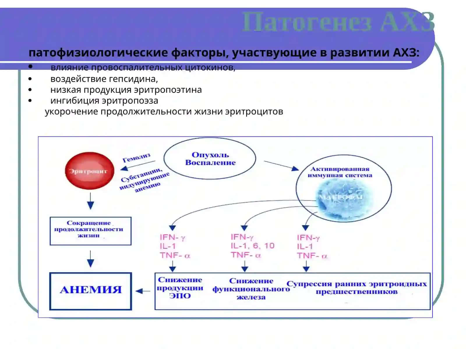 Анемии хронических заболеваний( Сурункали касалликлар Камконликлари)КАФ. КЛД 4