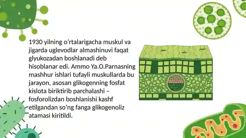 Glikolizlarning ayrim reaksiyalari va metabolik jarayonlarning asosiy yo'llari 4