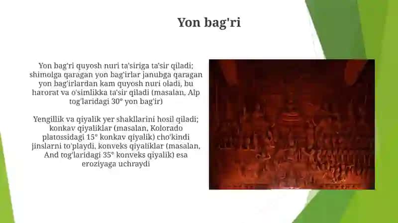 Yonbagʼrlarvarelyef 4