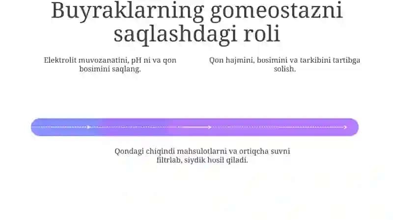 Siydik hosil bo`lish mexanizmi 4