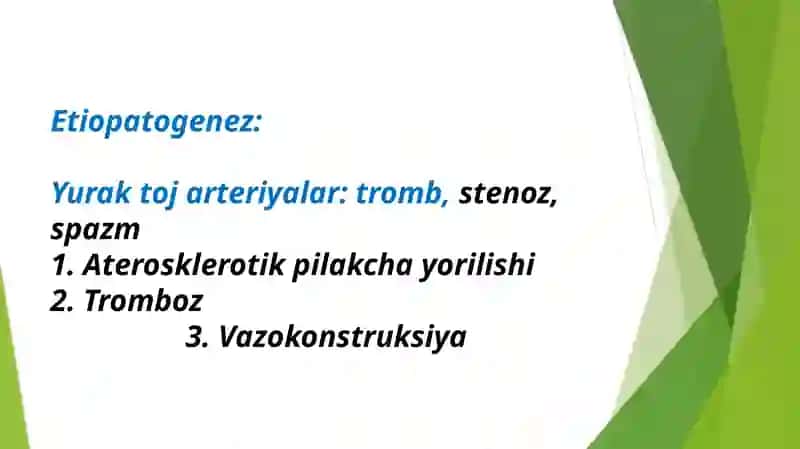 Miokard infarkti tasnifi, patogenezi, klinikasi va davolash 4