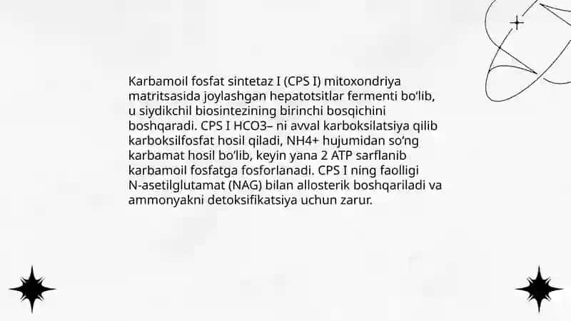 Siydikchil mochevina biosintezi 4