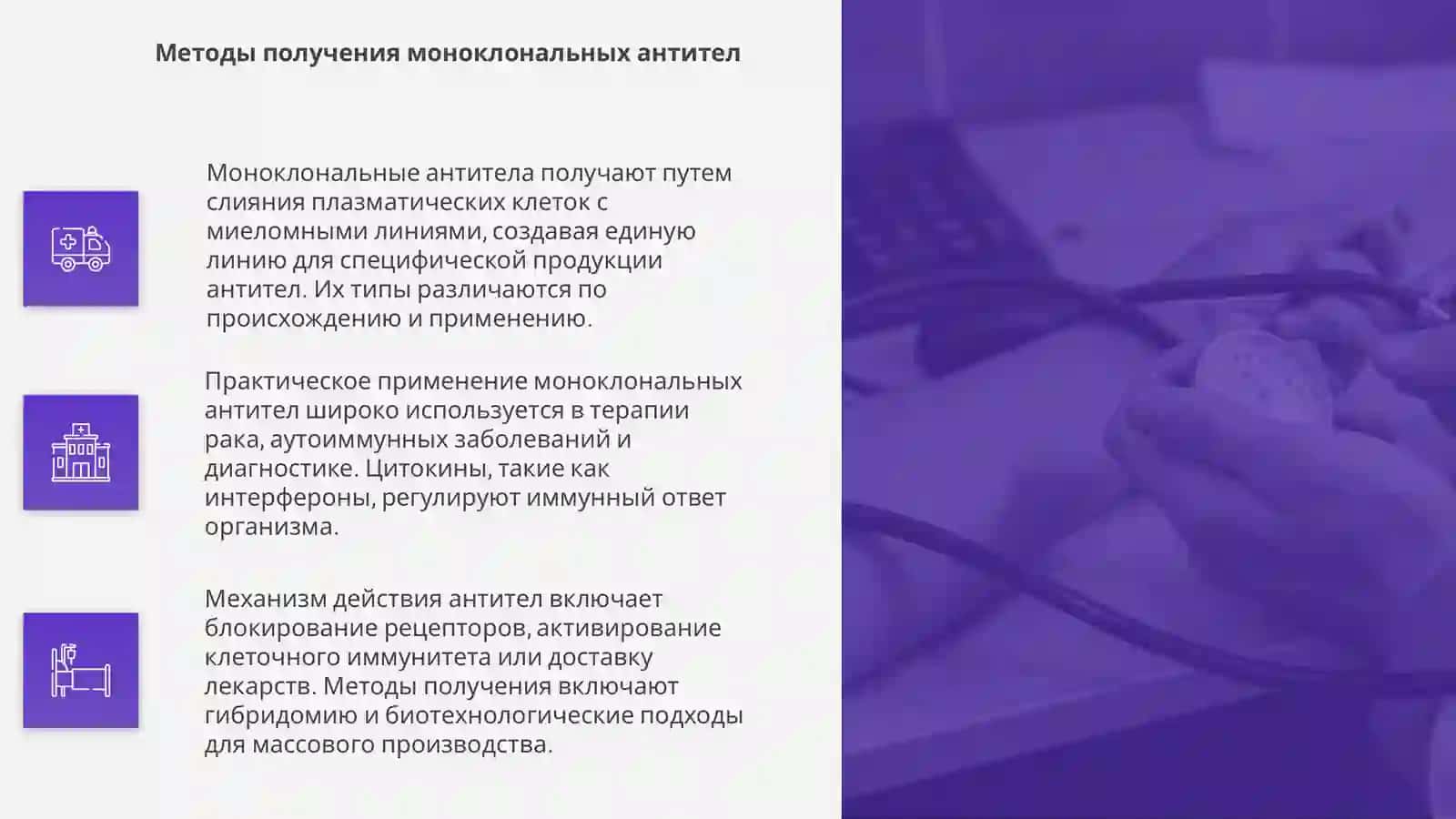 моноклональные антитела 4