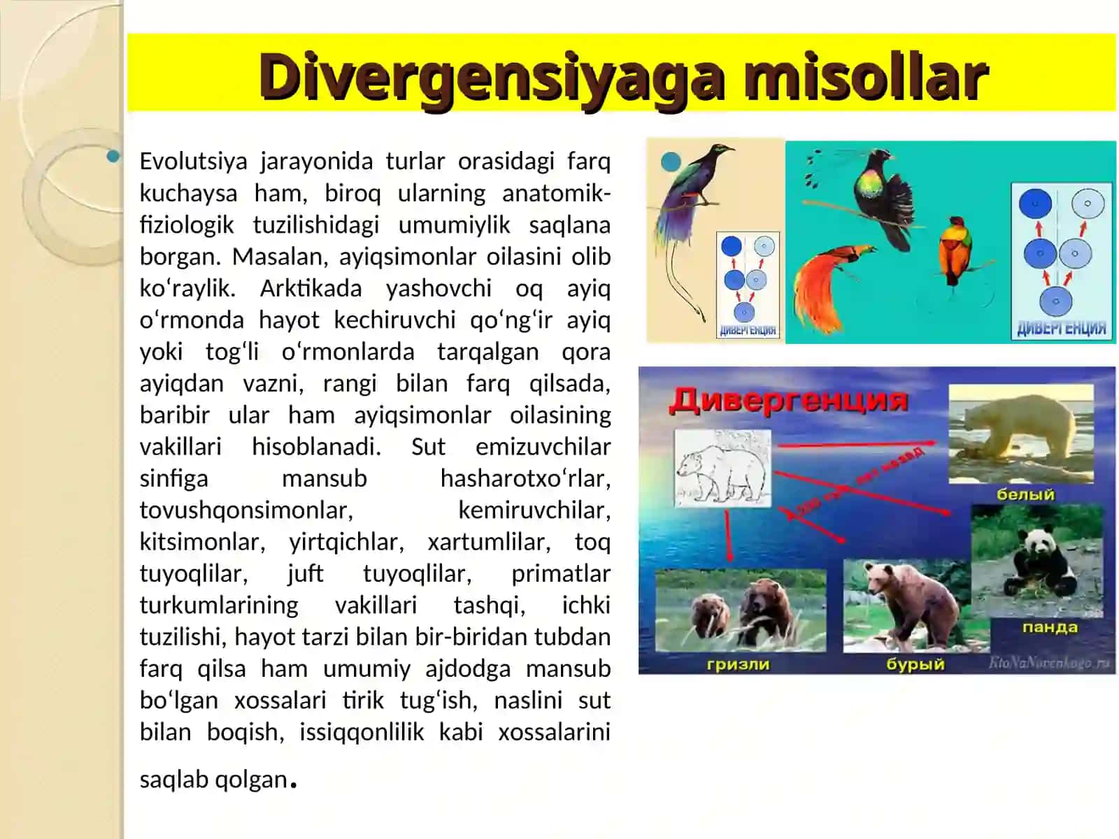 Makroevolutsiya va uning qonuniyatlari 4