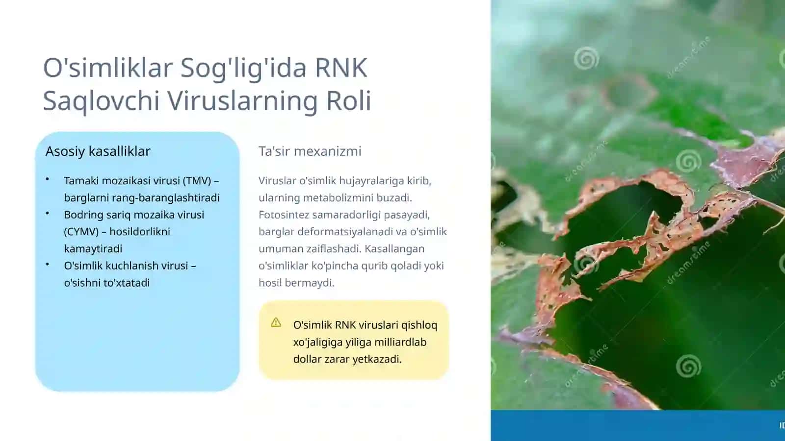 Rnk Saqlovchi Viruslar – Tahlil va Ularning O'simliklar va Hayvonlar Sog'lig'iga Ta'siri 4