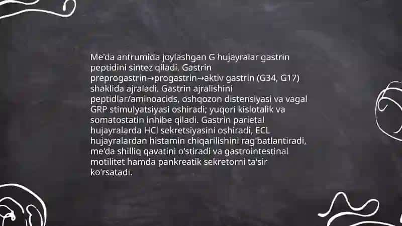 Me'da ichak nayining endokrin hujaylari 4