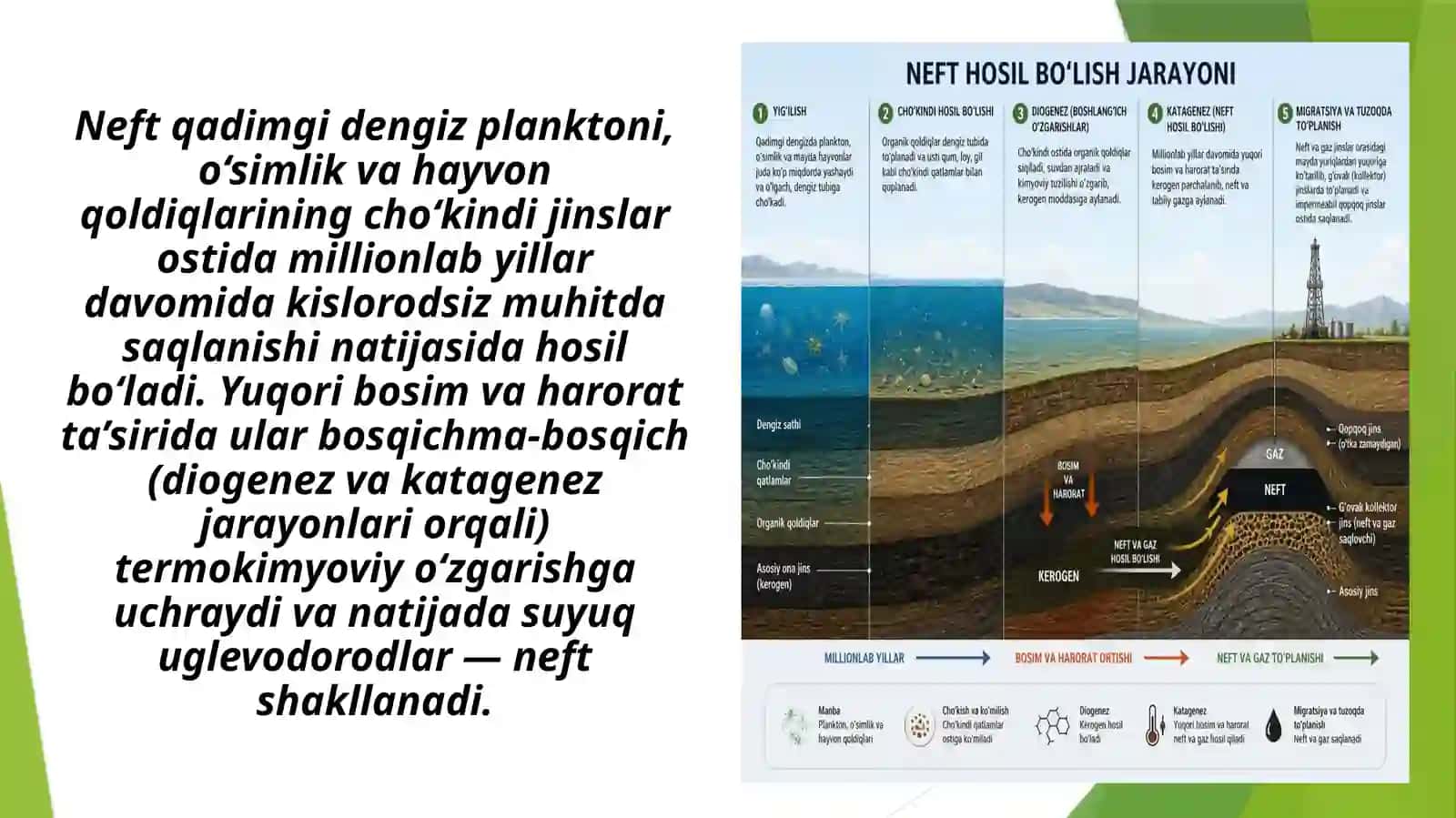 NEFT VA UNI QAYTA ISHLASH KORXONALARI 4