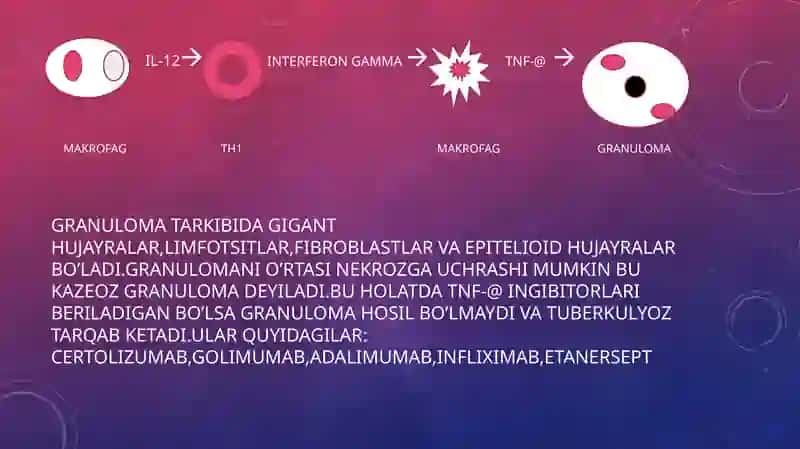 BIRLAMCHI TUBERKULYOZ 4