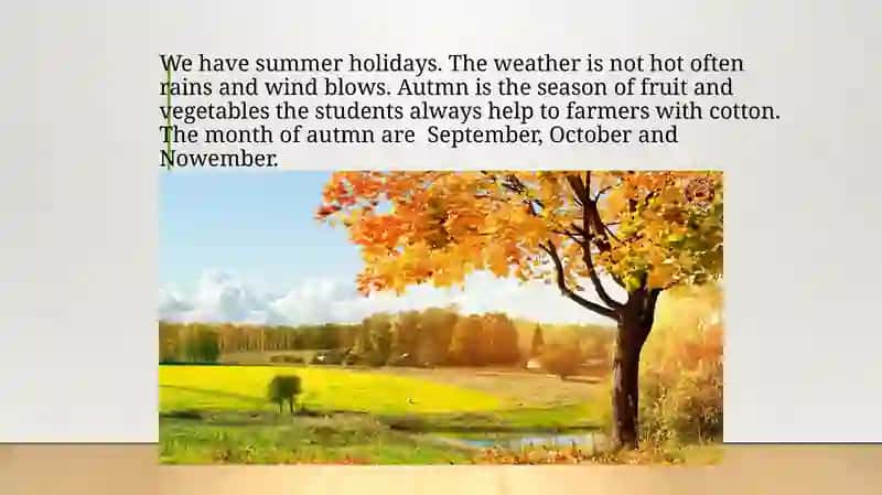 Seasons and Weather 4