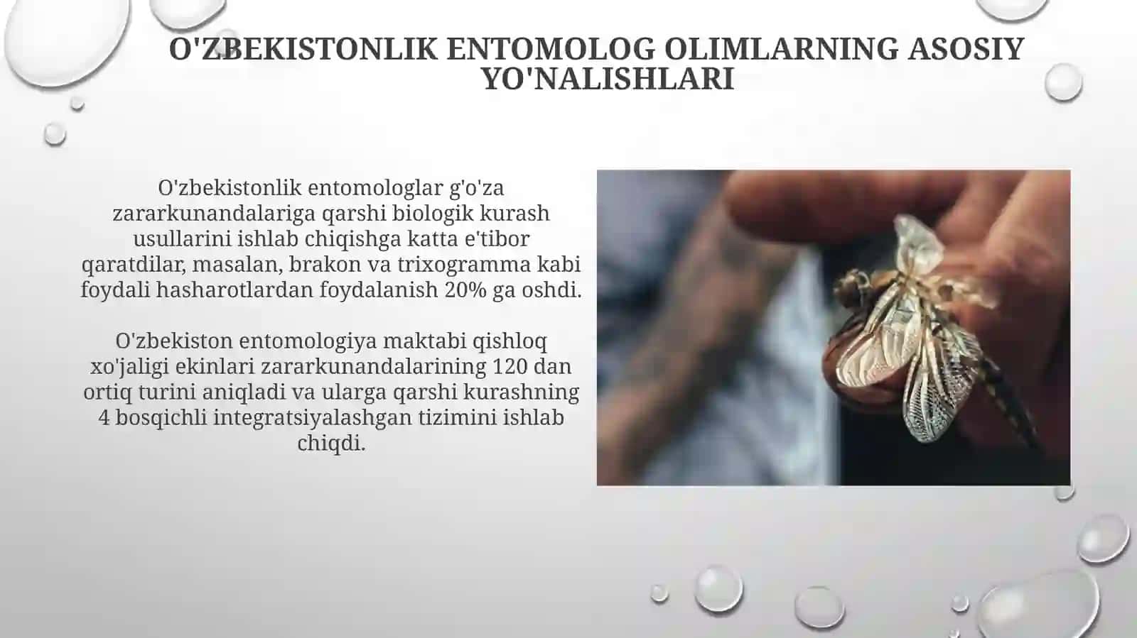 Oʻzbekistondaentamalogiyafaniningrivojlanishidaoʻzbekvaxorijiyolimlariningxizmatlari 4