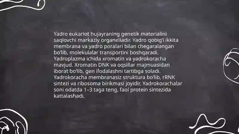 Eukariot hujayralar 4