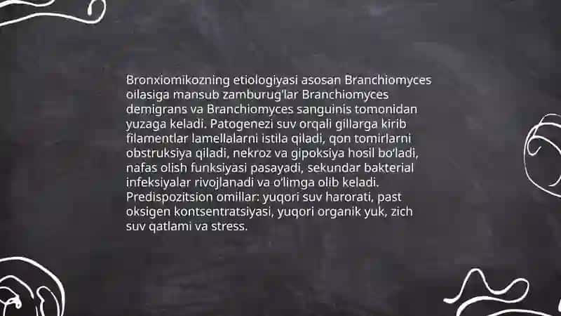Baliqlarning aeromonoz va bronxiomikoz kasalligi 4