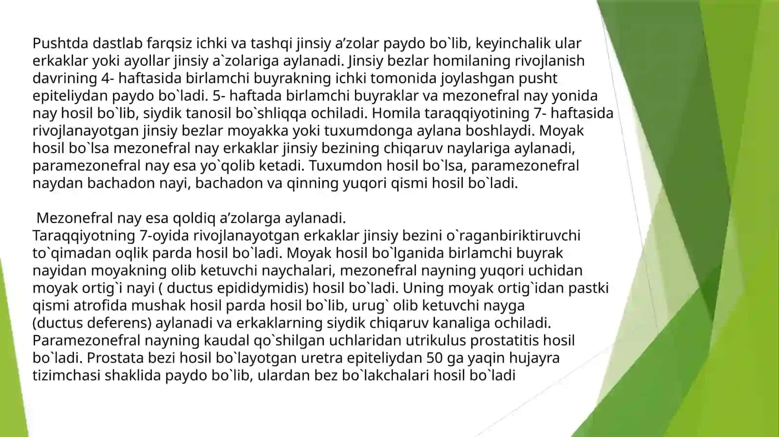 2-Davolash fakulteti dasturiy anatomiyasi 4