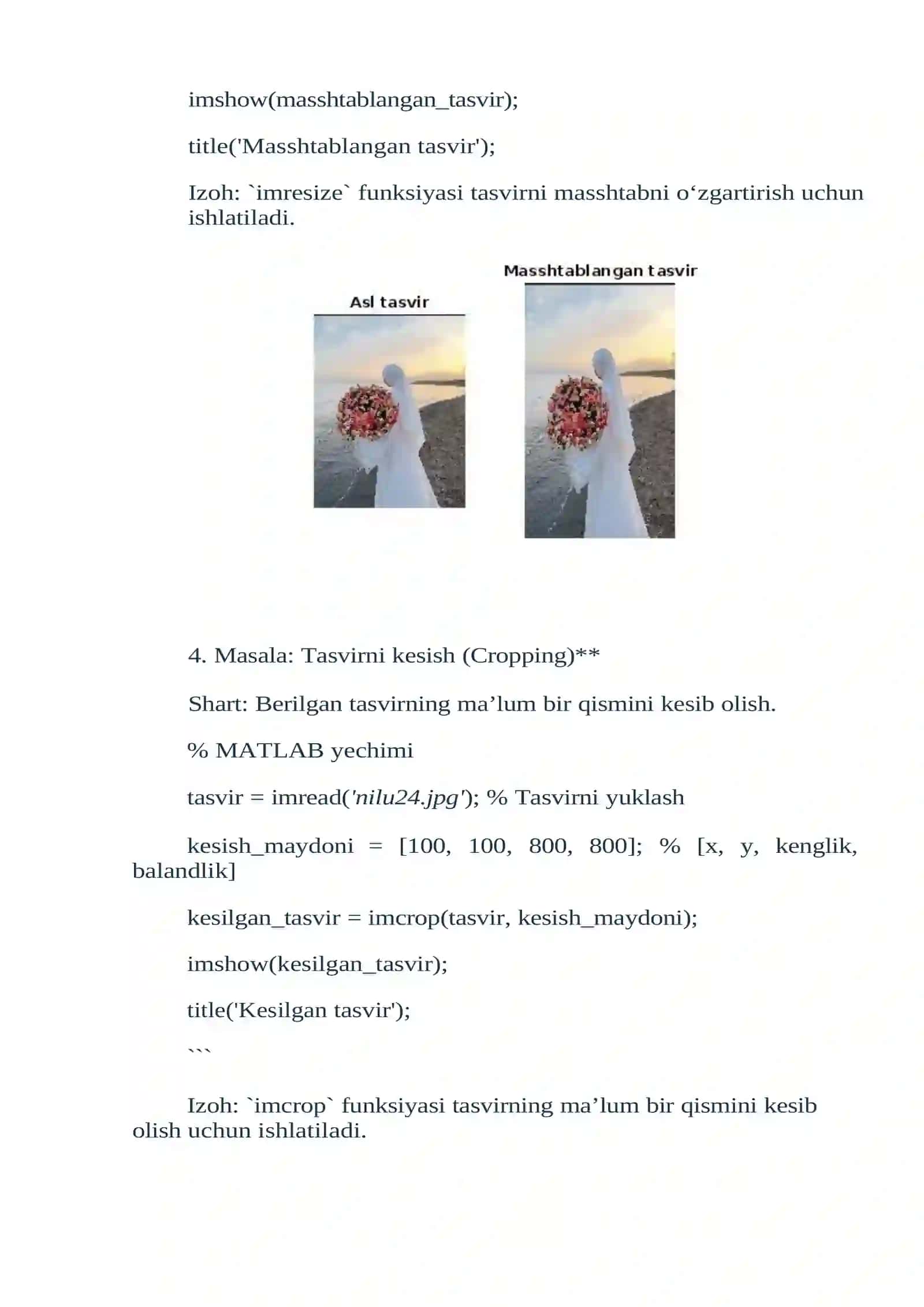 TASVIRLARDA GEOMETRIK O‘ZGARTIRISHLAR: AYLANTIRISH, MASSHTABLASH VA O‘GIRISH AMALLARINI BAJARISH 4