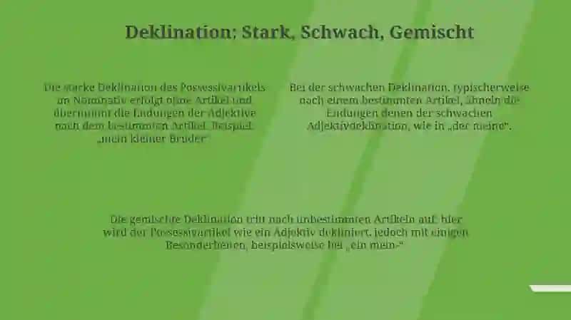 Possessive artikel im nominative 4