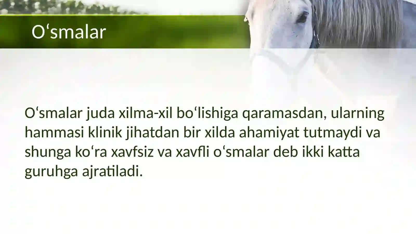 Xavfsiz o‘smalar (Taqdimot) 4