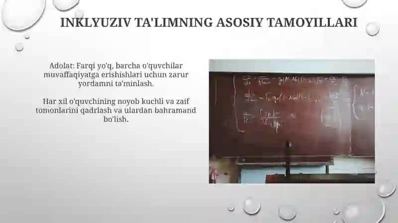 Inklyuziv Ta'limning Asosiy Tamoyillari 4
