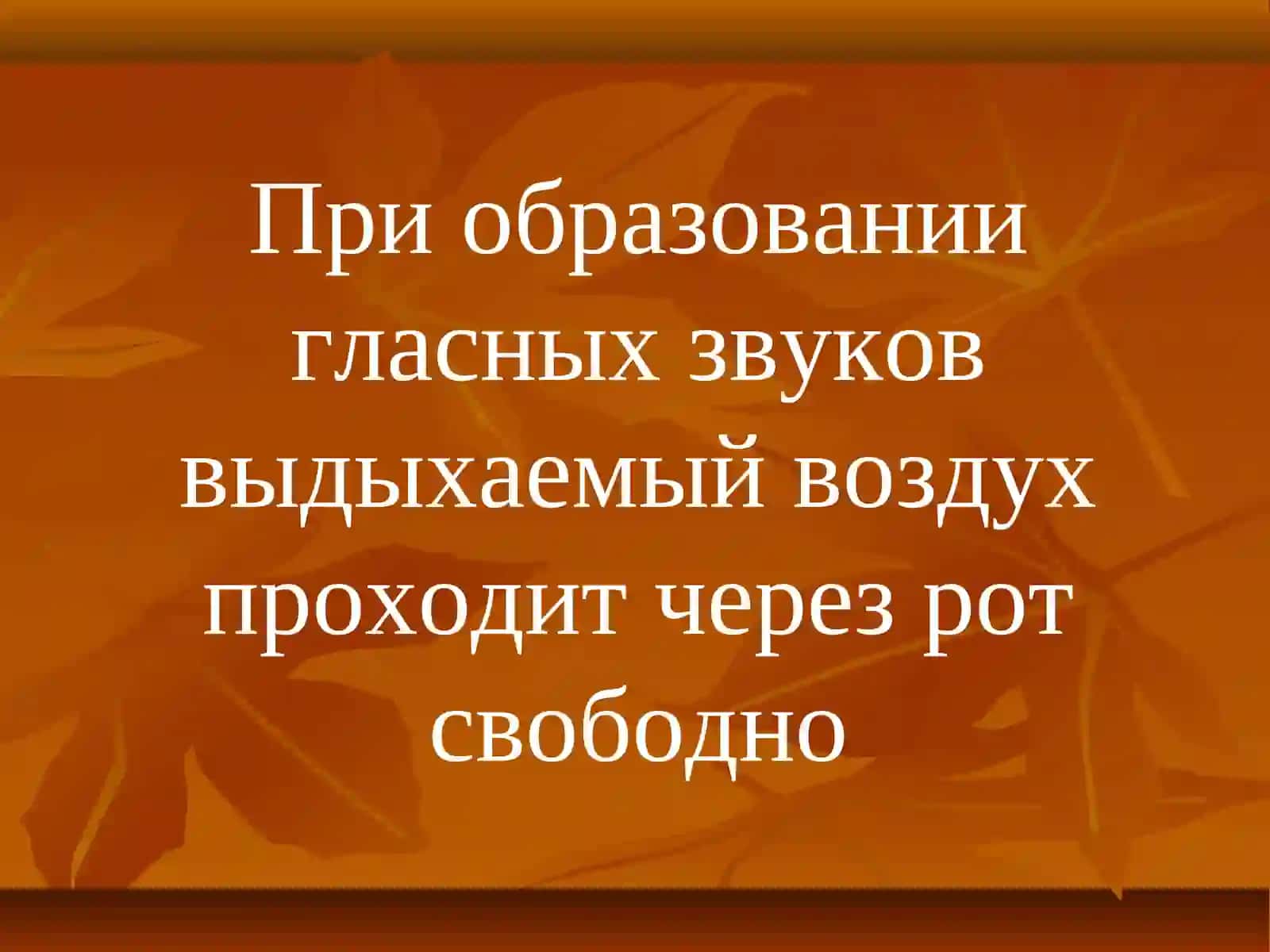 ФОНЕТИКА - раздел науки о языке, изучающий звуки речи 4