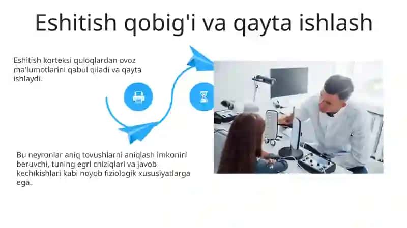 Eshitish analizatorlari va ularning fiziologik xususiyatlari 4