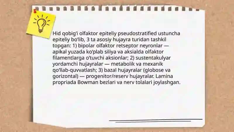 Hid bilish azosi 4