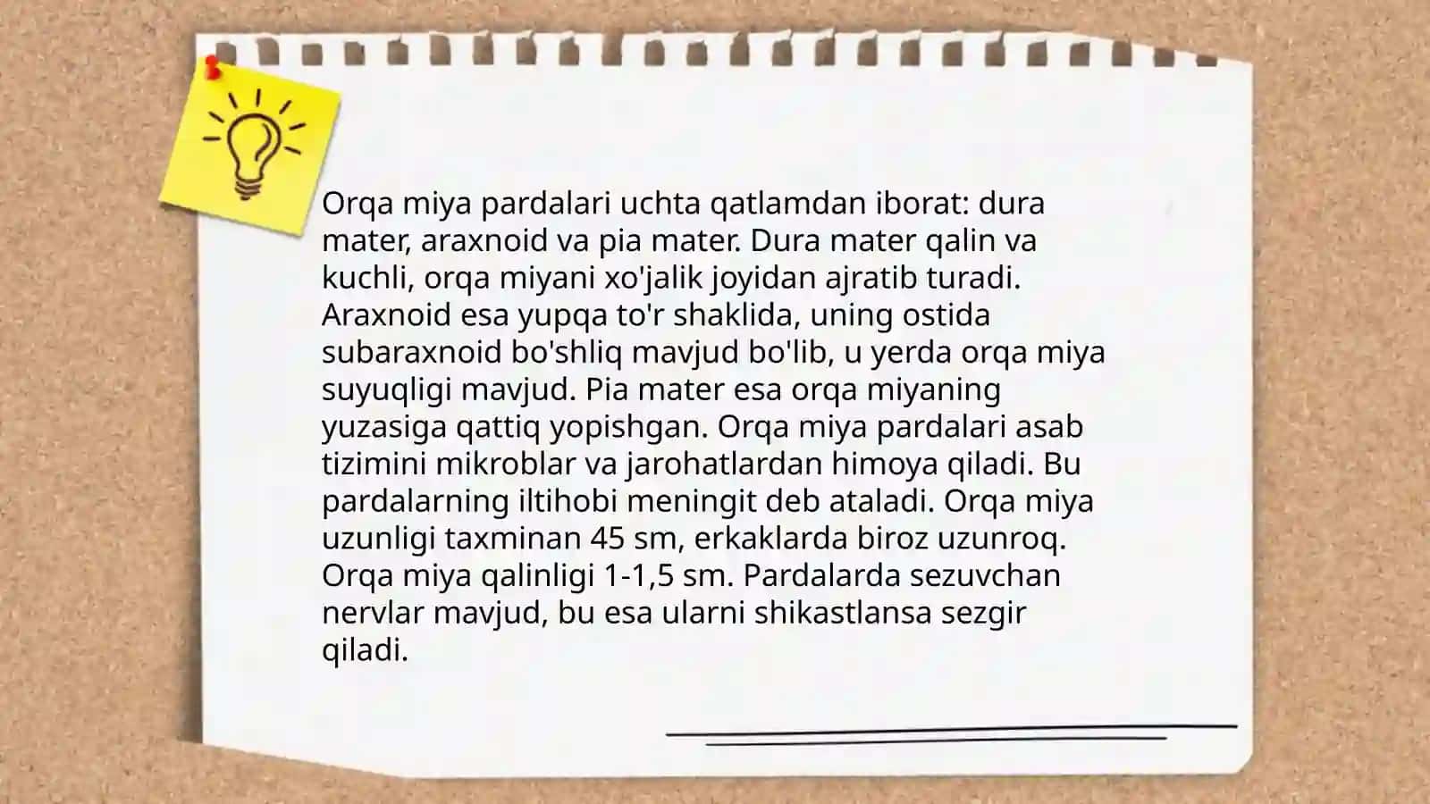 Bosh miyya va orqa miyyani orab turuvchi pardalar 4