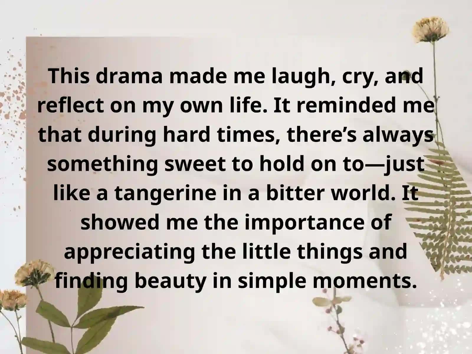 My Favorite Drama: When Life Gives You Tangerines 4