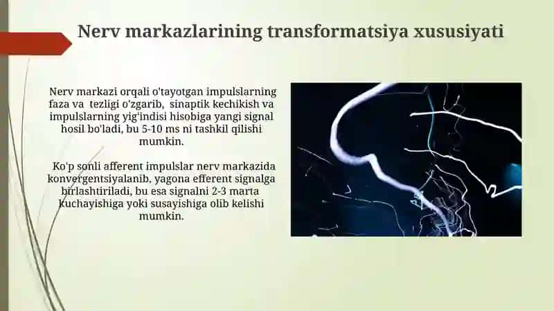 Asab markazlari xossalari 4