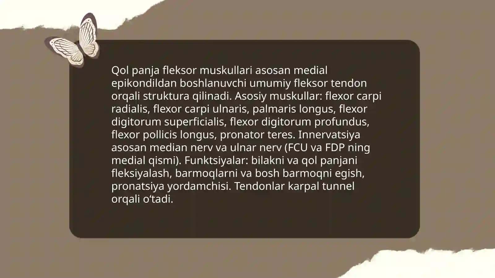 Bilak, qol va panja muskullari 4