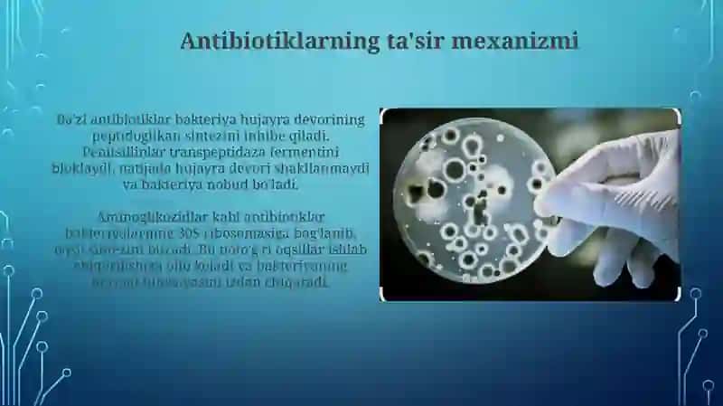 Antibiotiklarga chidamli bakteriyalarning antibiotiklarga chidamli shakllarini paydo bo‘lish mexanizimlari 4