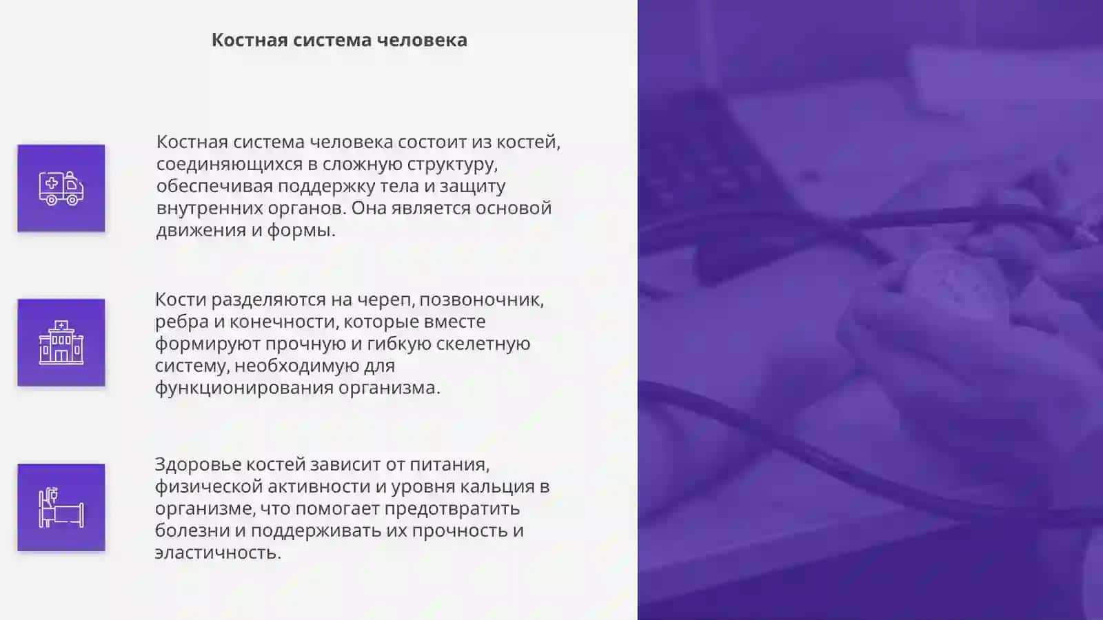 Анатомия человека 4