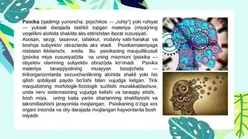 Psixologiyaga kirish: Psixikaning evolyutsion taraqqiyoti 4