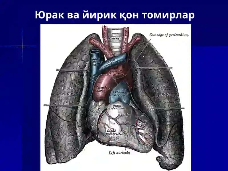 Юрак 4