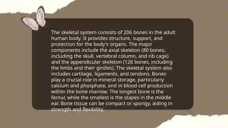 What makes our bodies move? 4