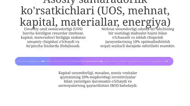 Ishlab chiqarishning samaradorligi va uning korsatkichlari 4