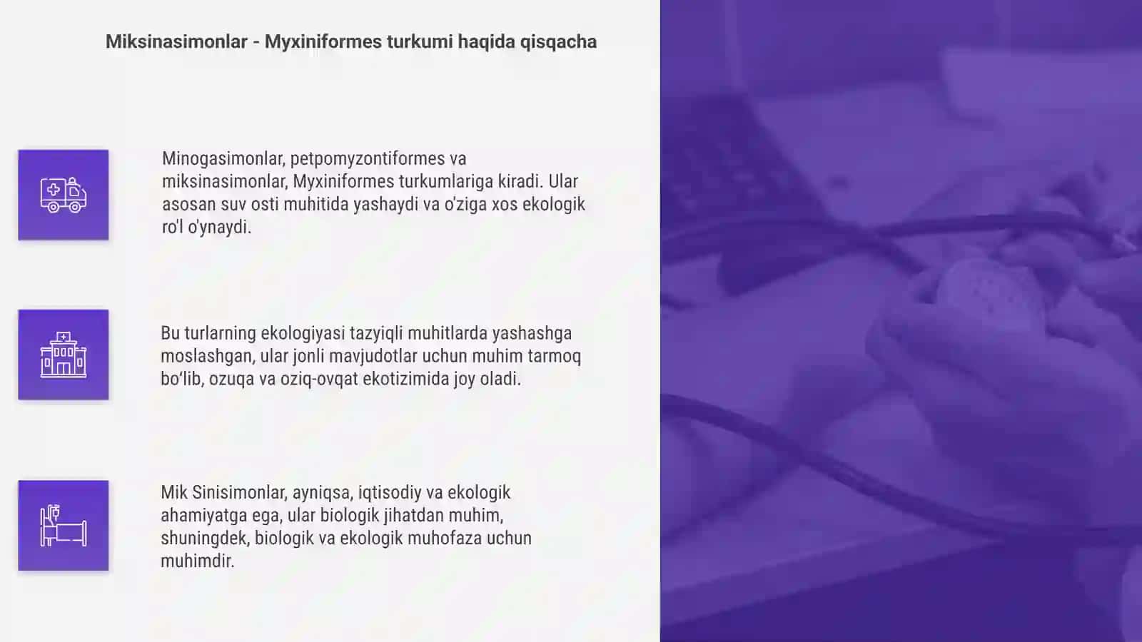 Minogasimonlar -petpomyzontiformes va miksinasimonlar-Myxiniflrmes turkumlari,ekologiyasi va ahamiyati 4