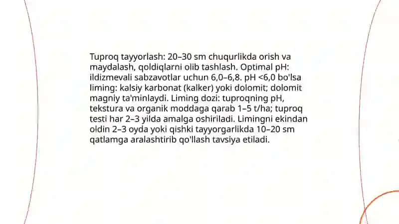 Ildizmevali ekinlarni ozuqa uchun yetishtirish texnalogiyasi 4
