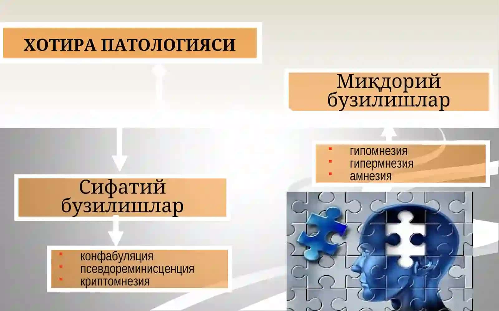 ХОТИРА, ДИҚҚАТ, ИНТЕЛЛЕКТ. ПАТОЛОГИЯСИ, СИНДРОМЛАР. АФФЕКТИВ БУЗИЛИШЛАР 4