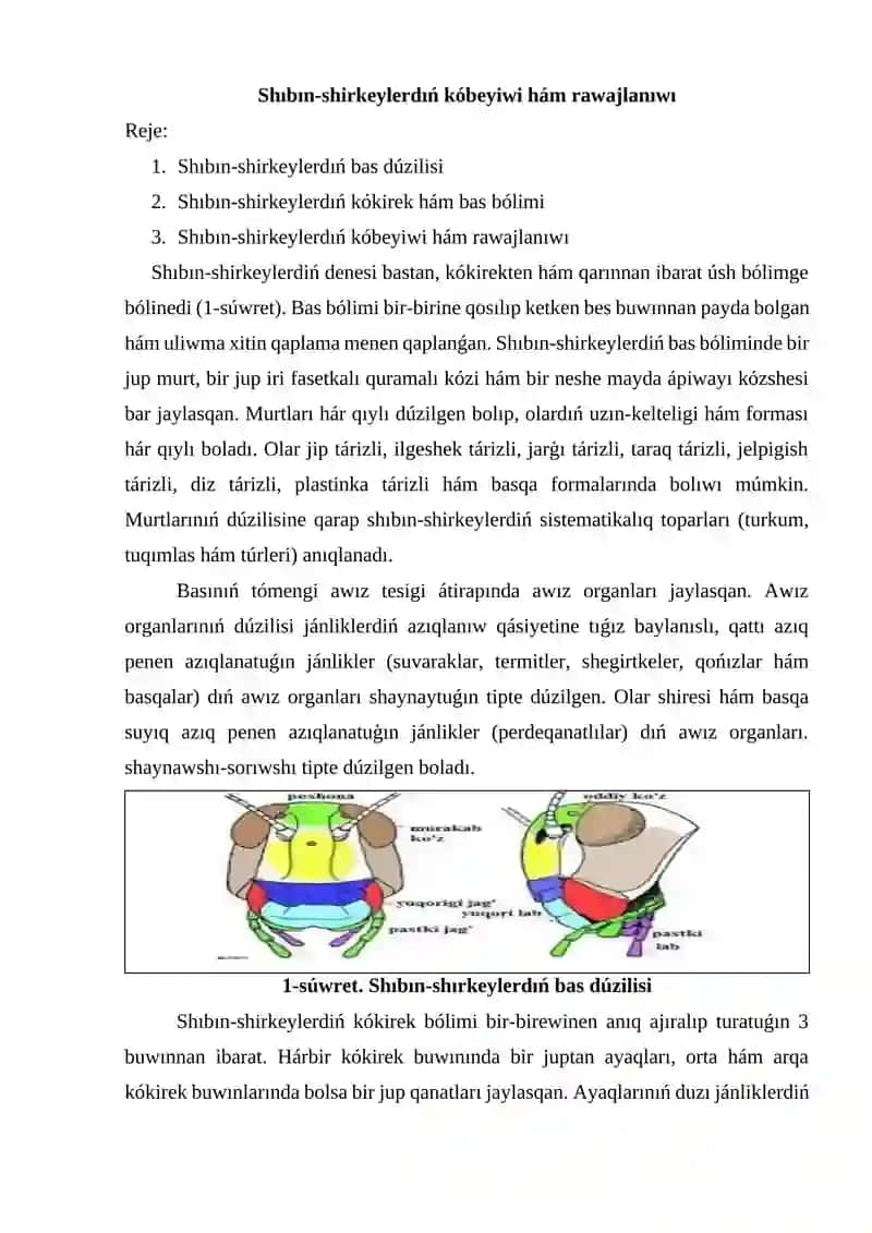Nematodalardıń morfologiyası hám anatomiyası 4