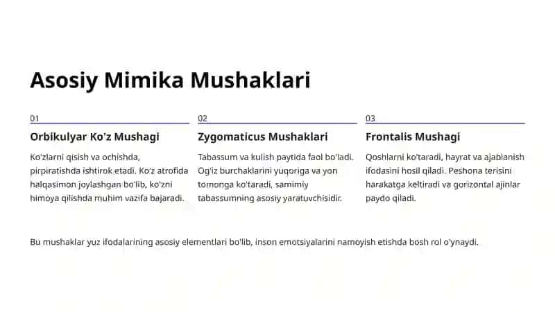 Bosh Mushaklari: Mimika Mushaklari 4