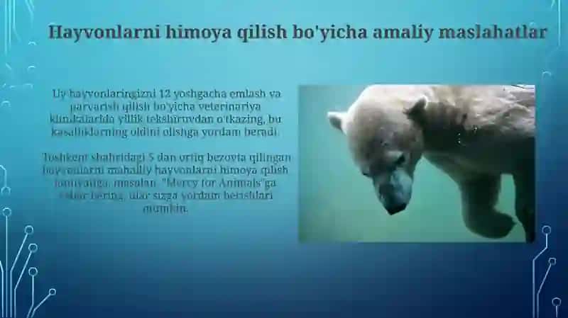 Hayvonlarni muhofaza qilish 4