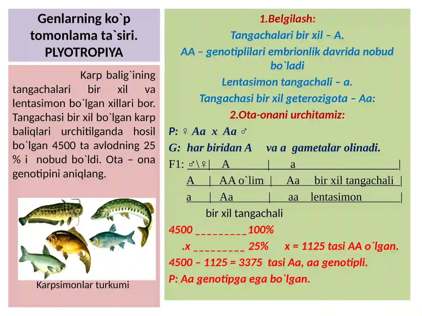 NOALLEL GENLARNING PLEYOTROP TA`SIRI 4