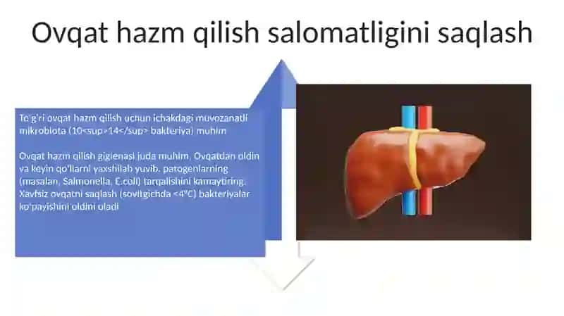 Ovqat hazm qilishning fizialogiyasi va gigiyenasi 4