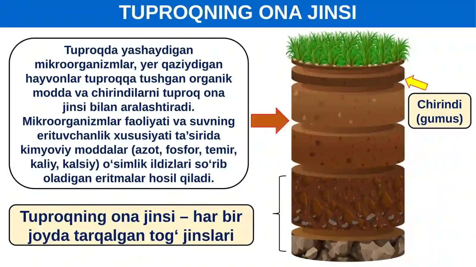 Tuproqning Ona Jinsi 4