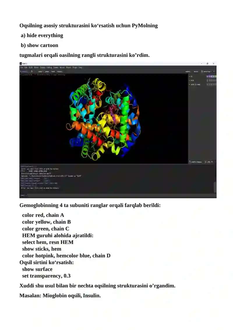 PyMol va Raswin yordamida oqsil molekulalarining 3D ko‘rinishi 4