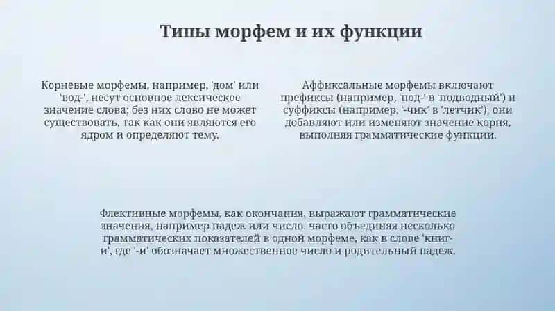 Morfologiya 4