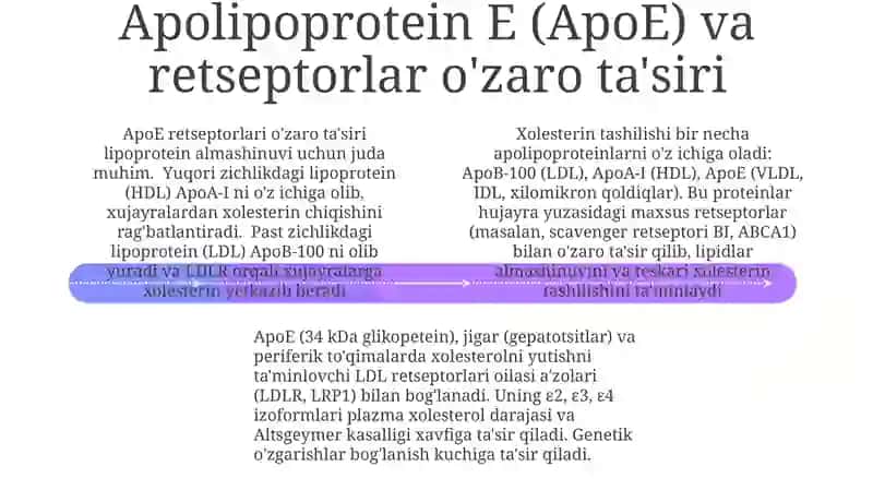 Xolesterin tashilishida qatnashuvchi apo-oqsillar Yakubjonova 4