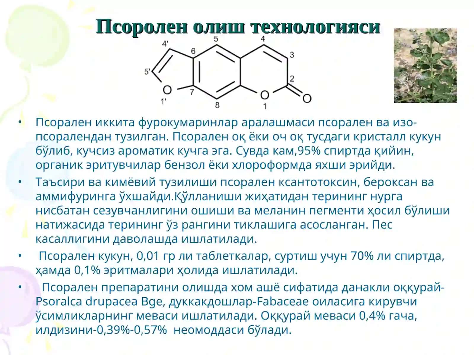 Кумаринлар Псоролен ва фурален олиш технологияси 4