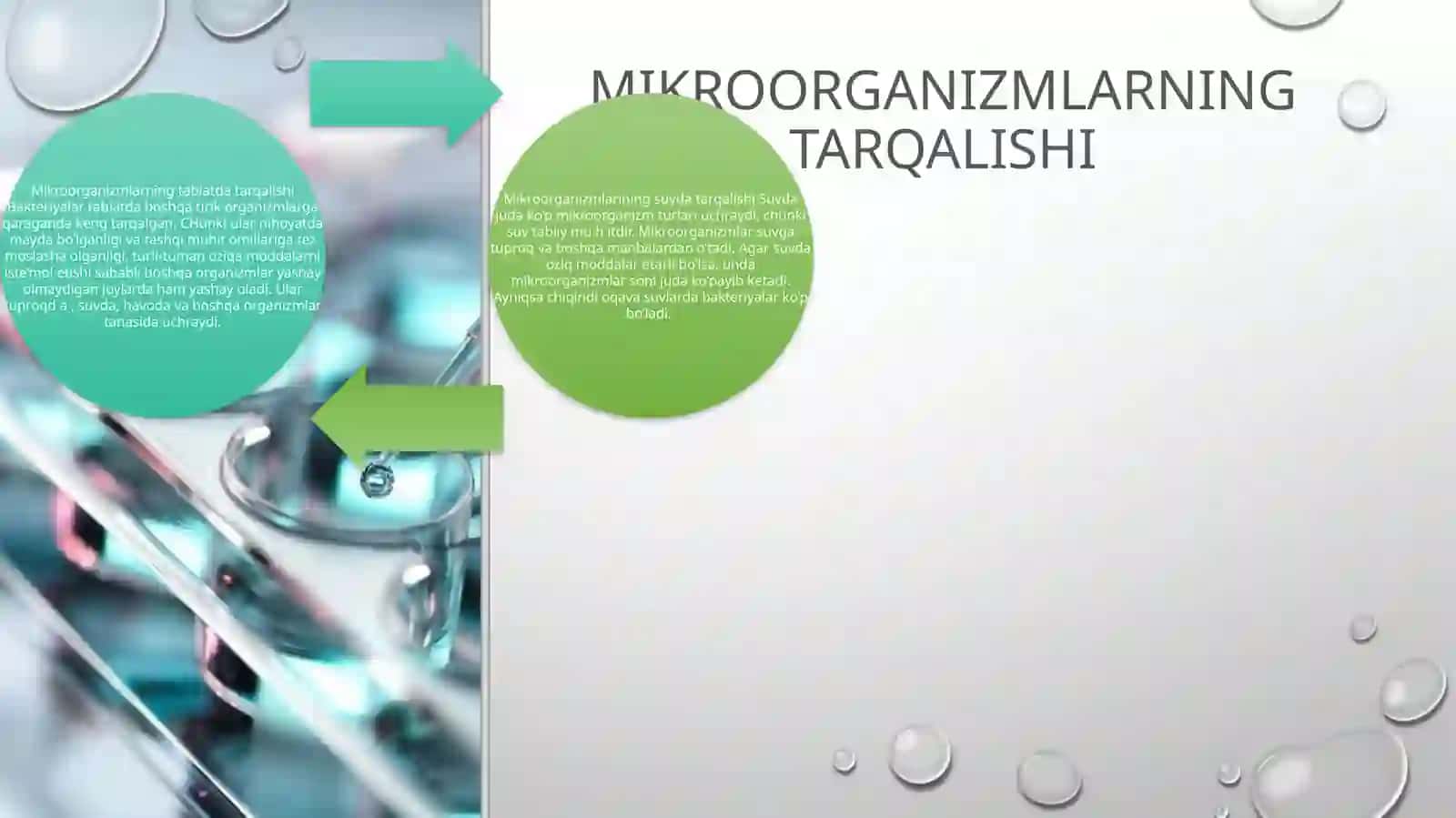 Mikroorganizmlar va mikrobiologiya 4