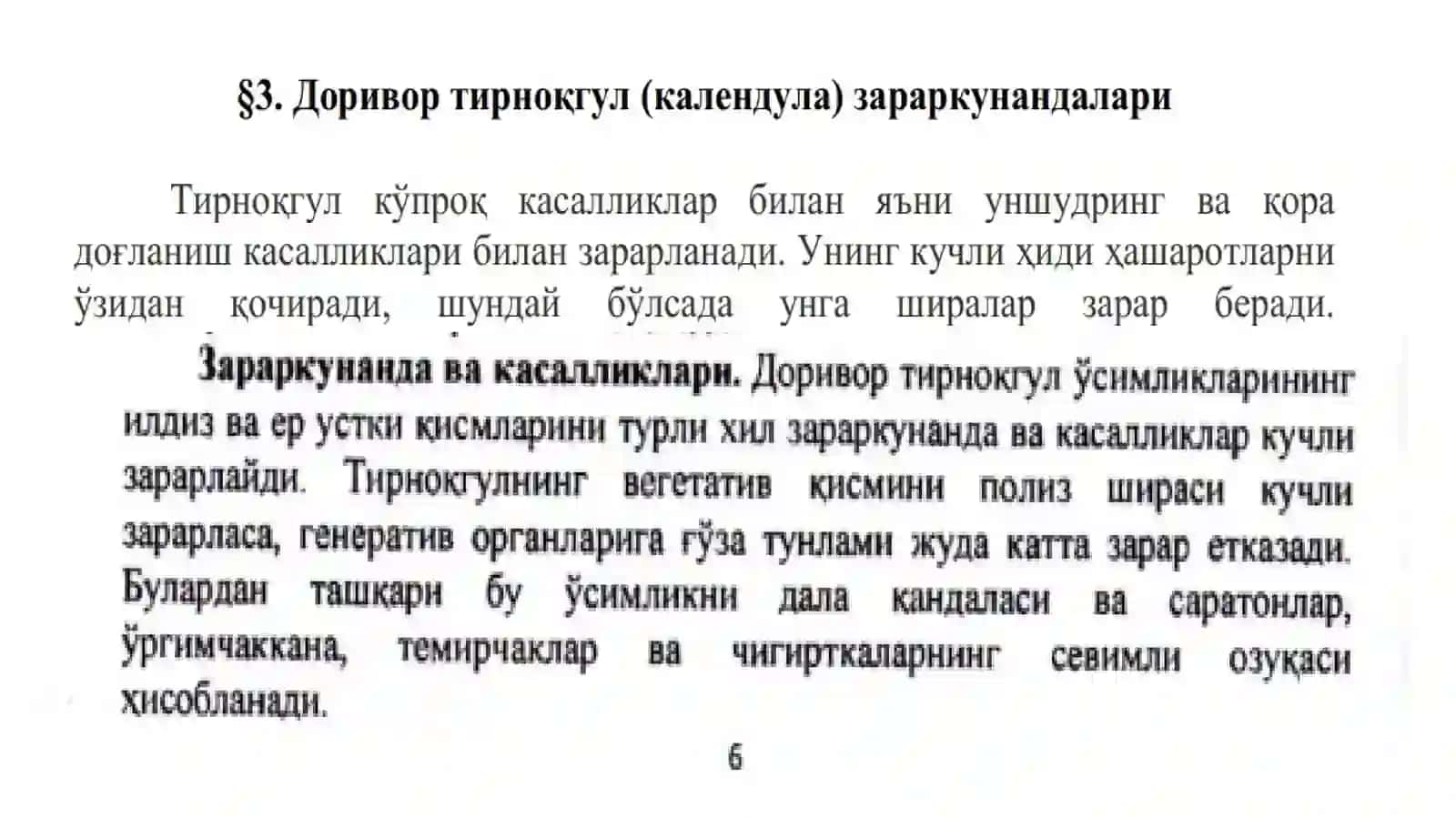 Dorivor tirnoqgul (kalendula) zararkunanda va kasalliklari hamda ularga qarshi biologik kurash choralari 4